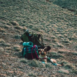 LOWLAND OUTDOOR® Donzen Slaapzak - Super Compact Blanket - 210 X 80 Cm - 590gr +8°C -Aanbiedingen Kampeer Zen Winkel 1200x1196 11