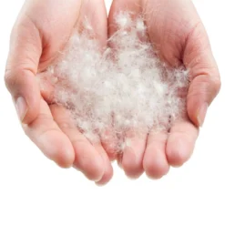 LOWLAND OUTDOOR® Donzen Slaapzak - Companion Economy - 210x80 Cm - Rood -Aanbiedingen Kampeer Zen Winkel 1200x1200 150